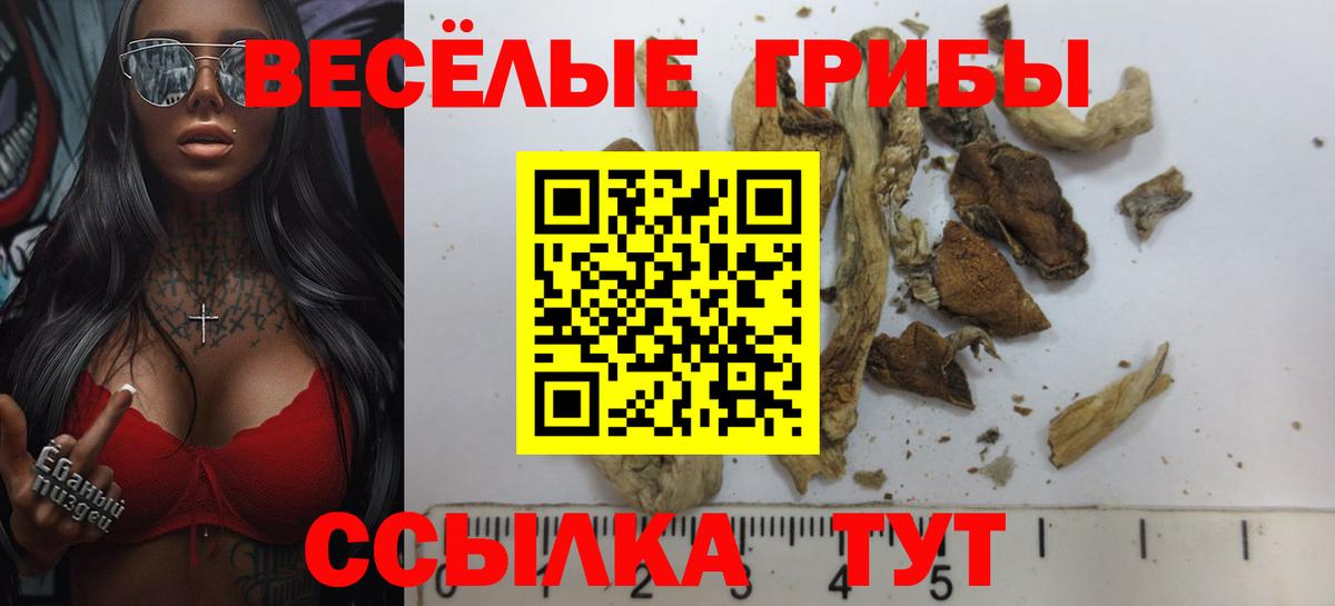 Псилоцибиновые грибы прущие грибы Светлоград